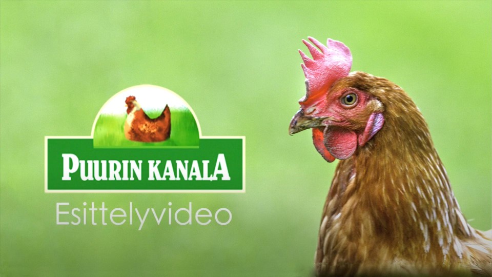 Videolink